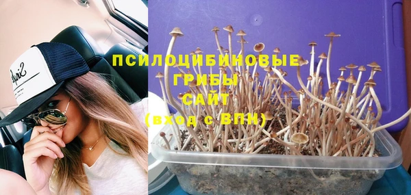 jwh Богородск