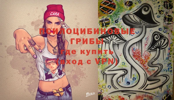 соль курить ск Белокуриха