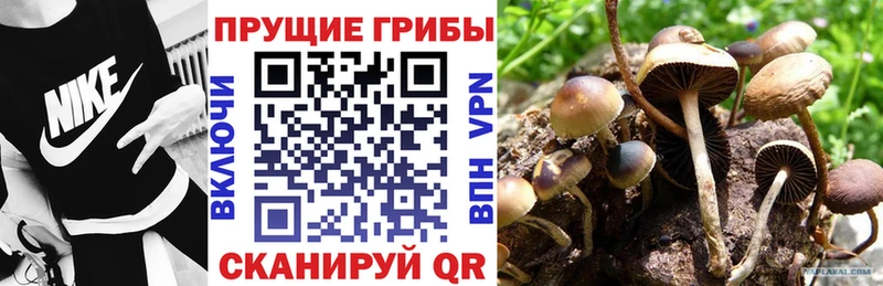 Галлюциногенные грибы MAGIC MUSHROOMS  Биробиджан 